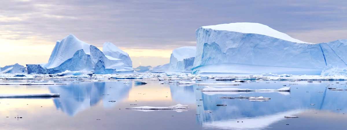 Essential Fare 1-8 Voyages