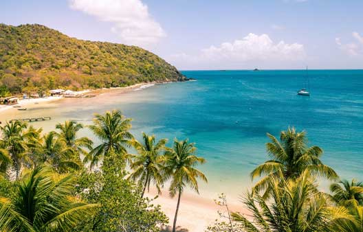 Caribbean