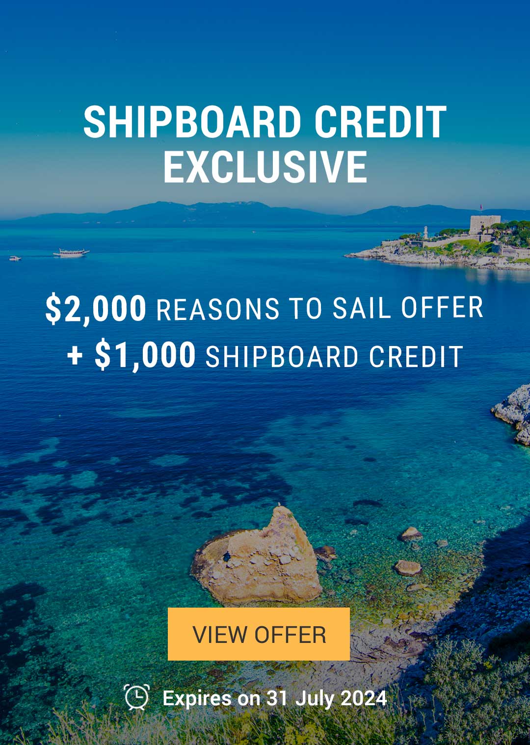 Exclusive Offer