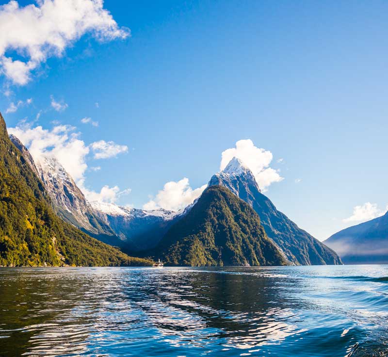 WC2023                                                    Highlights