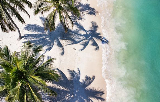 Caribbean & Central America