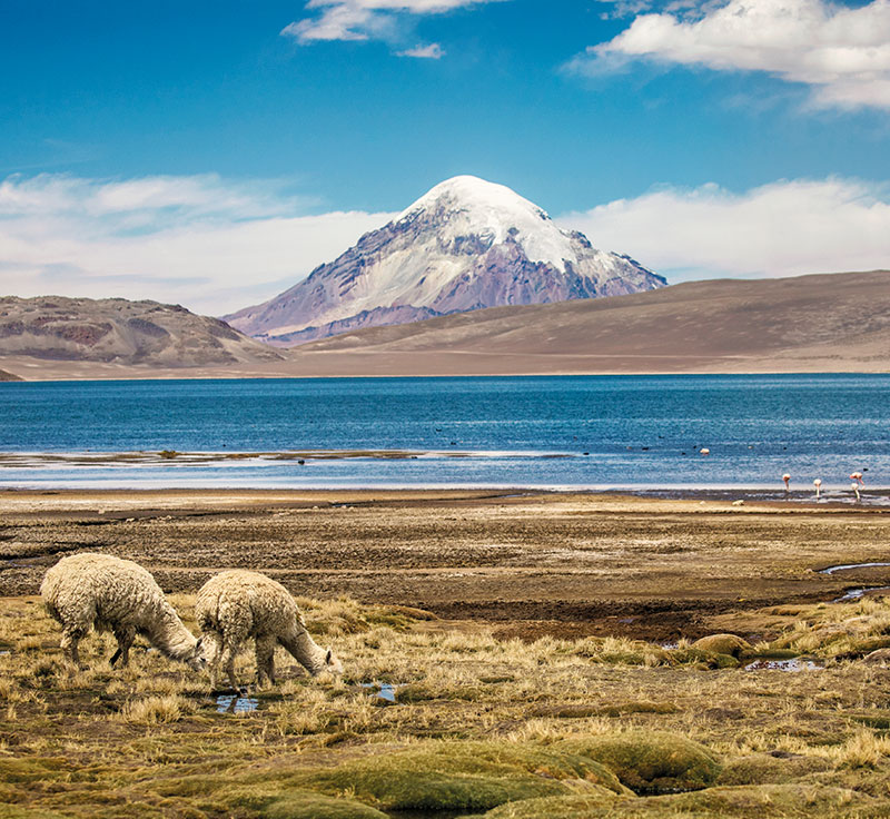 Antarctica                                                    Wanderlust Image