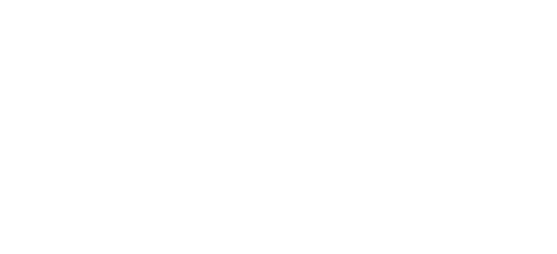 Celebrity X Cruises Logo