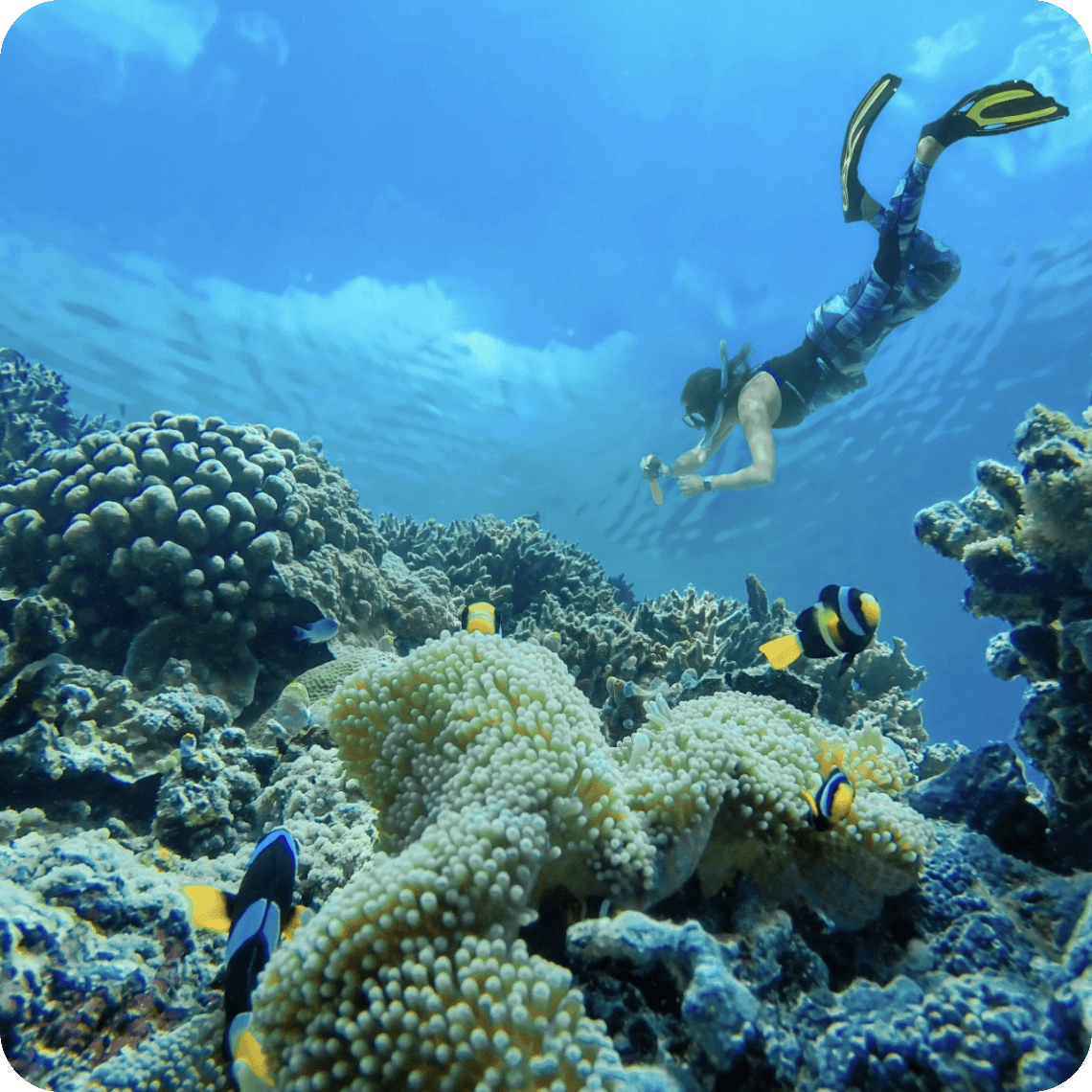 Big Simple Destinations Image 1
