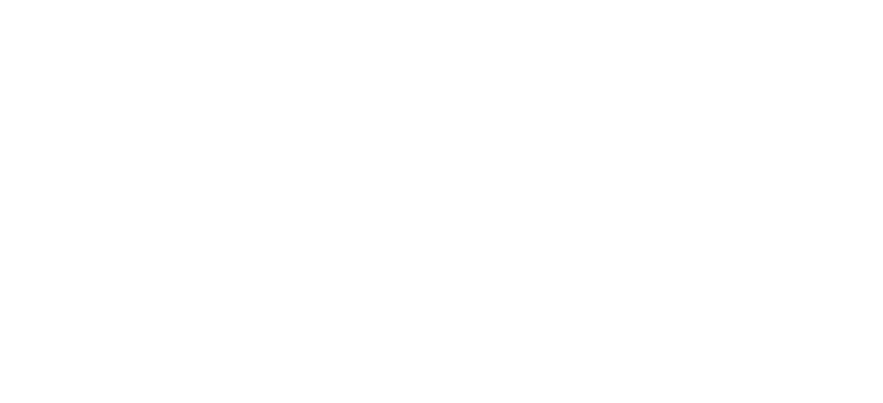 Royal Caribbean Group Logo